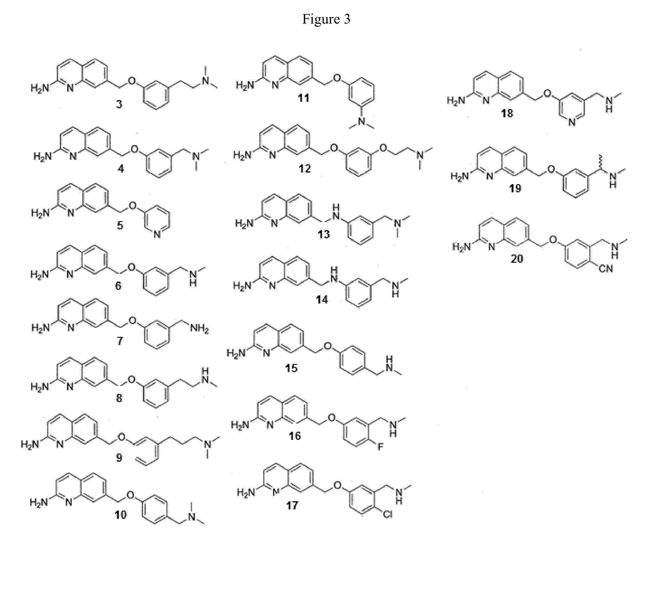 2-Aminoquinoline-Based Compounds for Potent and Selective Neuronal Nitric Oxide Synthase Inhibition