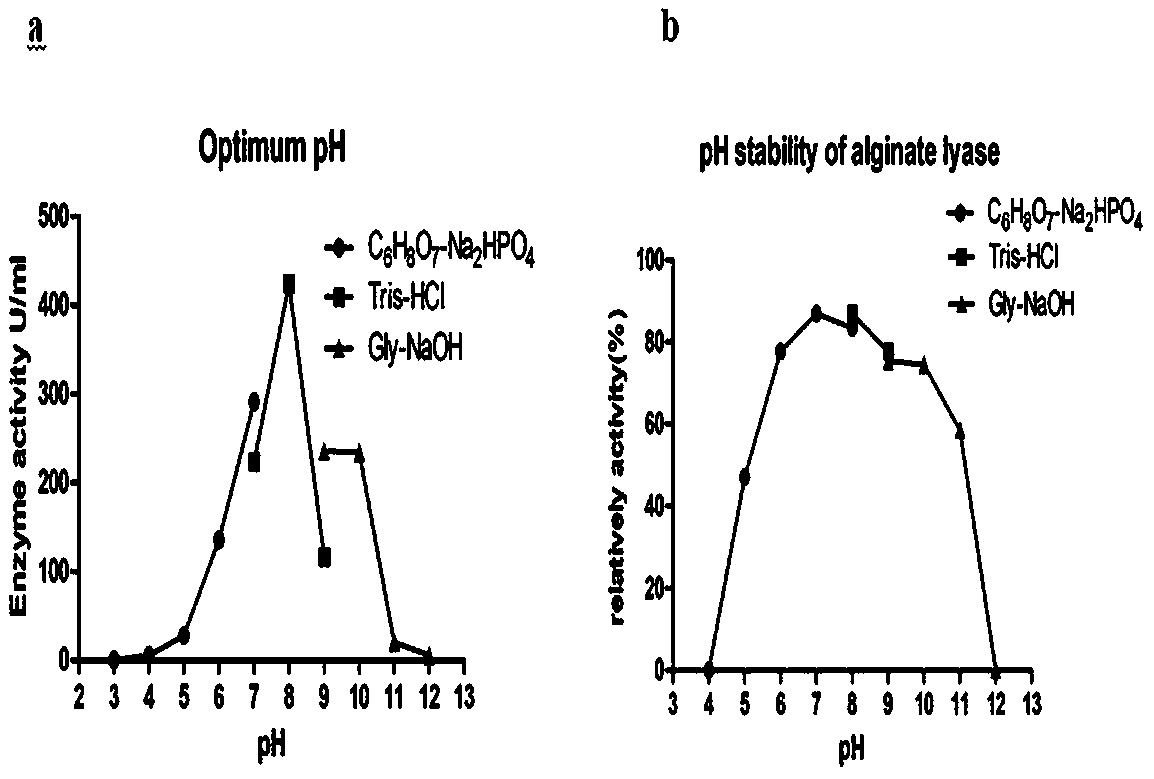 Alginate lyase and gene and application thereof