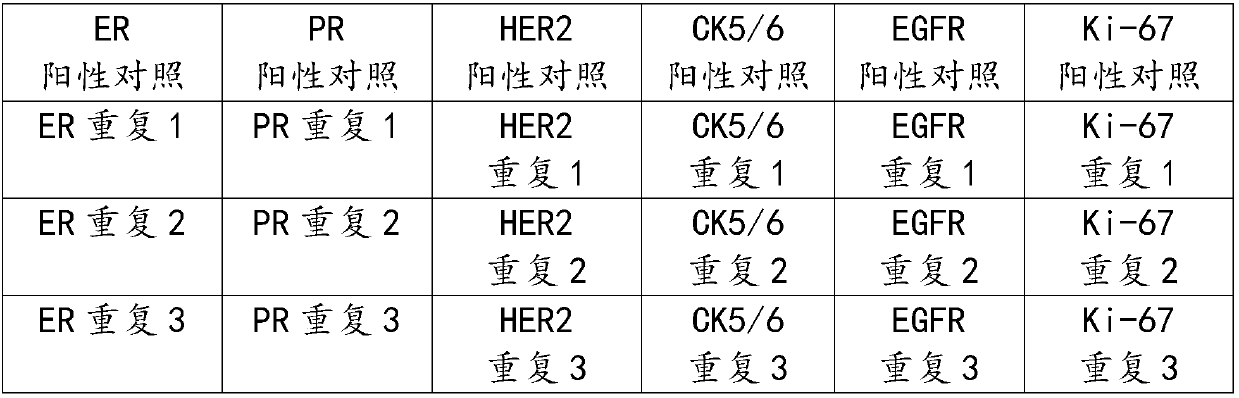 Preparation method of immunohistochemical detecting section