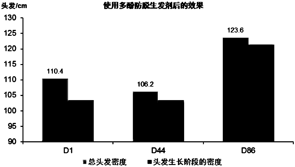 Anti-hair loss pilatory and application thereof