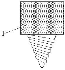 Fixator of bone and cartilage and using method of fixator