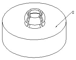 Fixator of bone and cartilage and using method of fixator