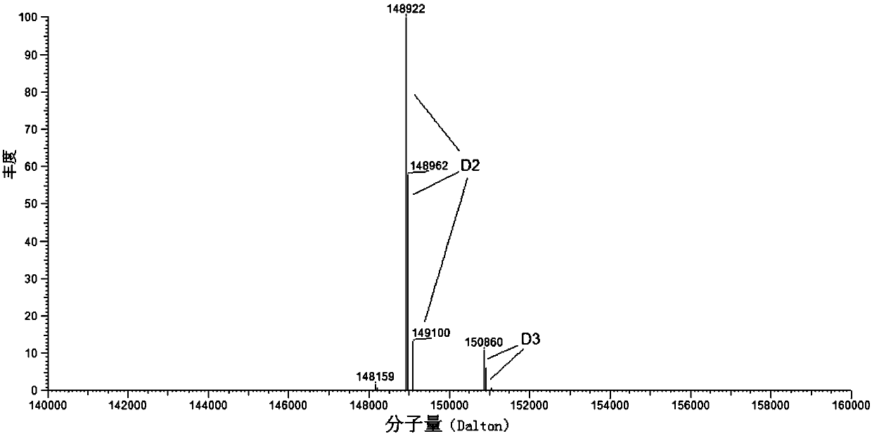 Tetramaleimide connexin and application thereof