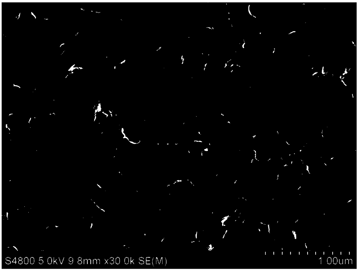 Preparation method of flaky molybdenum selenide/carbon fiber sheet composite material