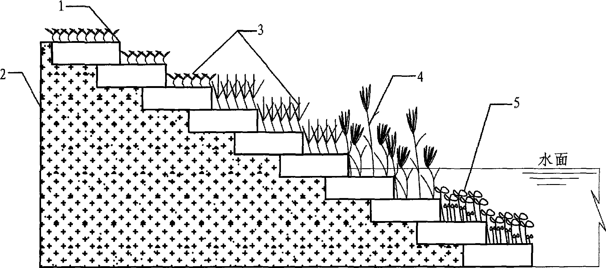 Ecological shore protection method for stepwise shore