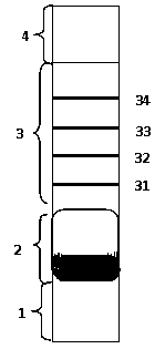 Porcine circovirus 2 (PCV2) antibody colloidal gold immunity chromatography detection test paper and making method thereof