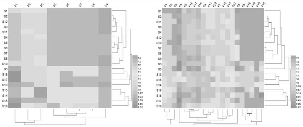 Multi-wavelength fingerprint spectrum-based prismatomeris glabra root quality evaluation method