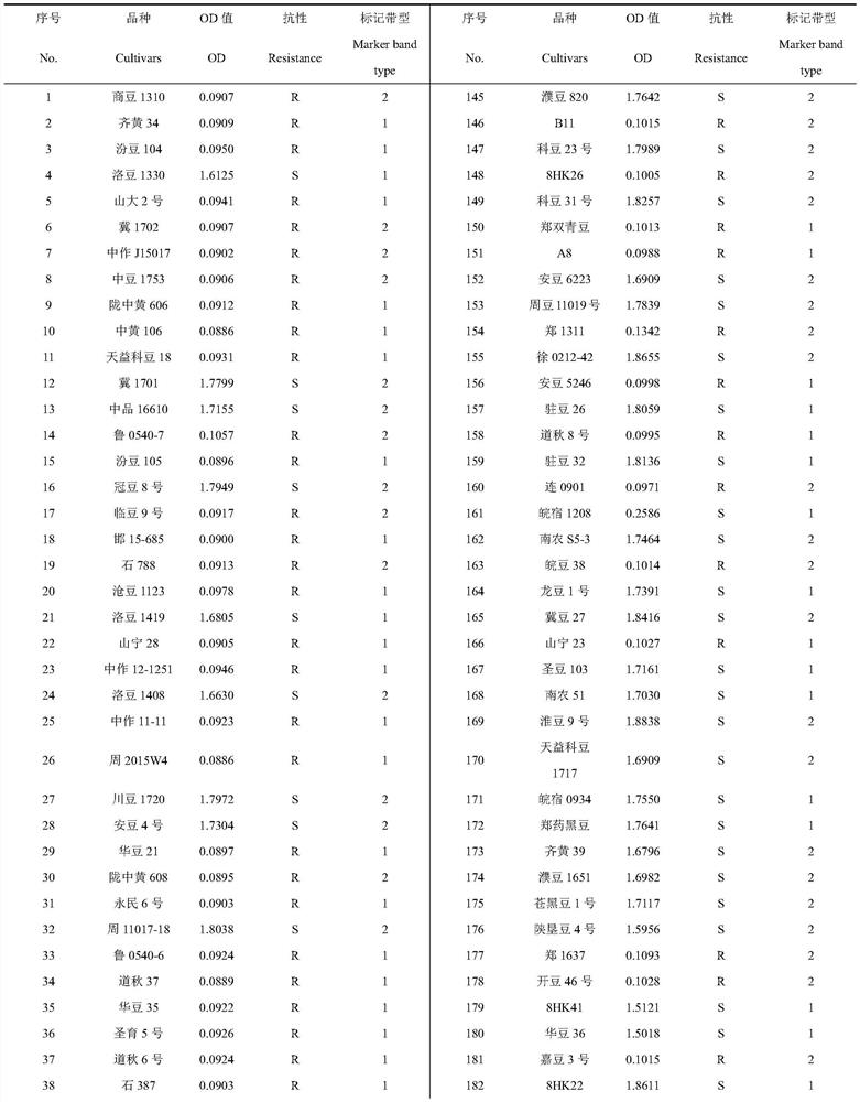 SSR marker CH0211 for identifying resistance of soybeans to soybean mosaic virus SC3 strain and detection method and application of SSR marker CH0211