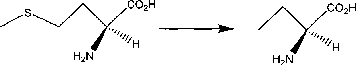 Method for preparing levetiracetam