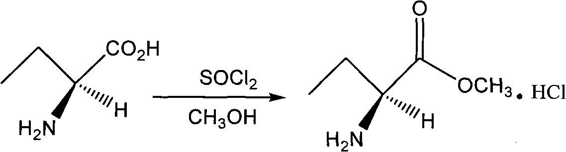 Method for preparing levetiracetam