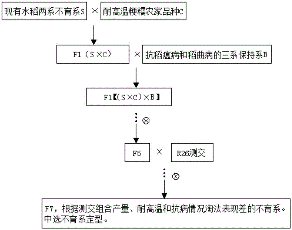 Breeding method for high-temperature-resistant and disease-resistant rice two-line sterile line