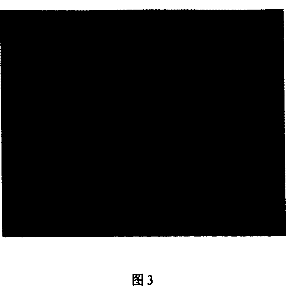 Method for realizing Fourier transfrom contour by generating pi phase shift by two-colour grating template