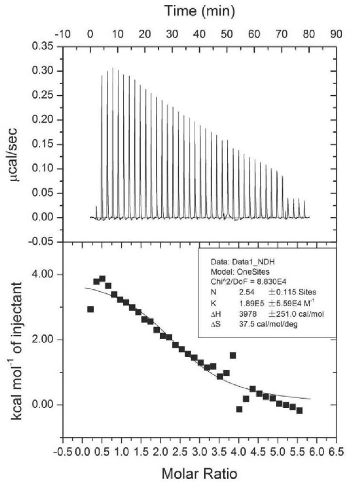 Ginsenoside-human serum albumin complex injection, preparation method therefor and application of ginsenoside-human serum albumin complex injection