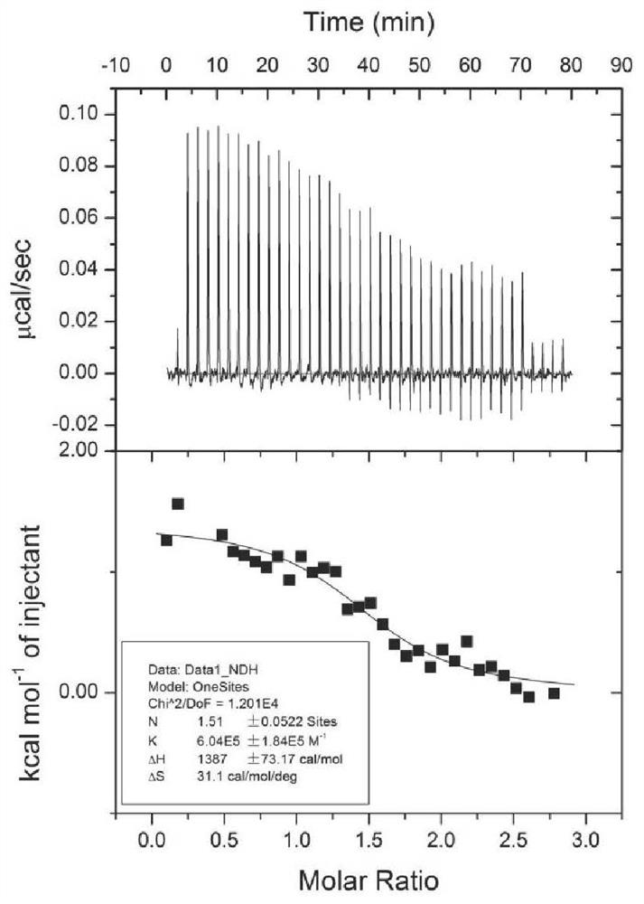 Ginsenoside-human serum albumin complex injection, preparation method therefor and application of ginsenoside-human serum albumin complex injection