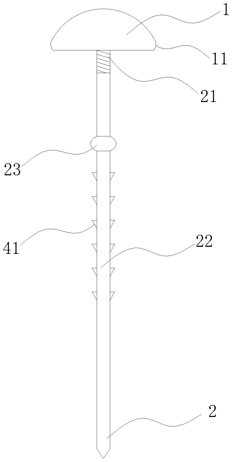 Split type biological suppository for anal fistula treatment