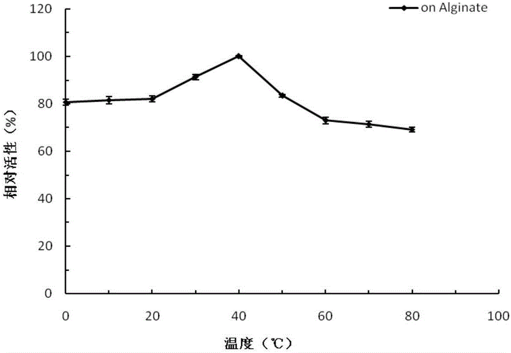 Truncated recombinant alginate lyase rAly1-T185N, and encoding gene and application thereof