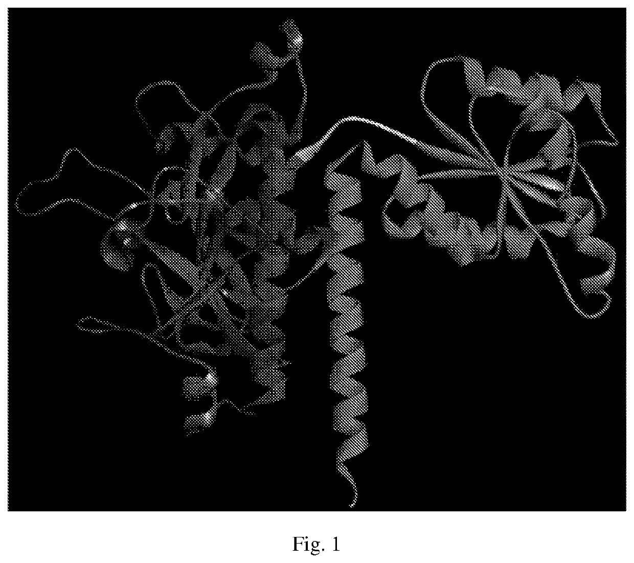 Novel applications of disulfiram and derivatives thereof