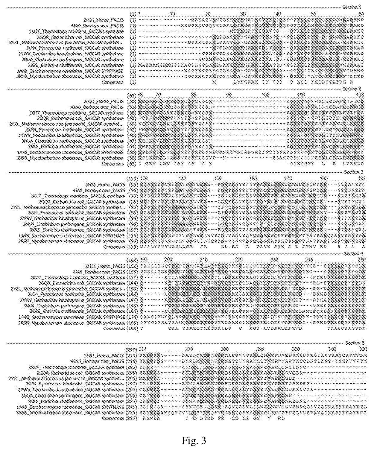 Novel applications of disulfiram and derivatives thereof