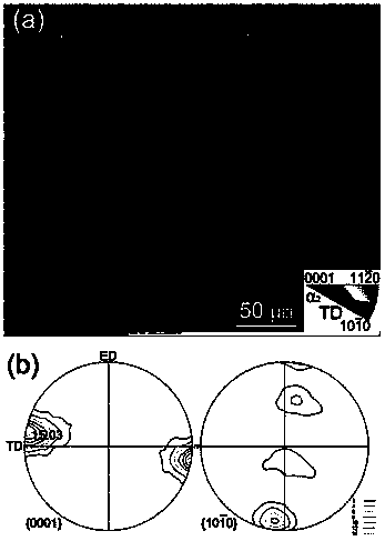 Preparation method for gamma-TiAl alloy small fully-lamellar tissue