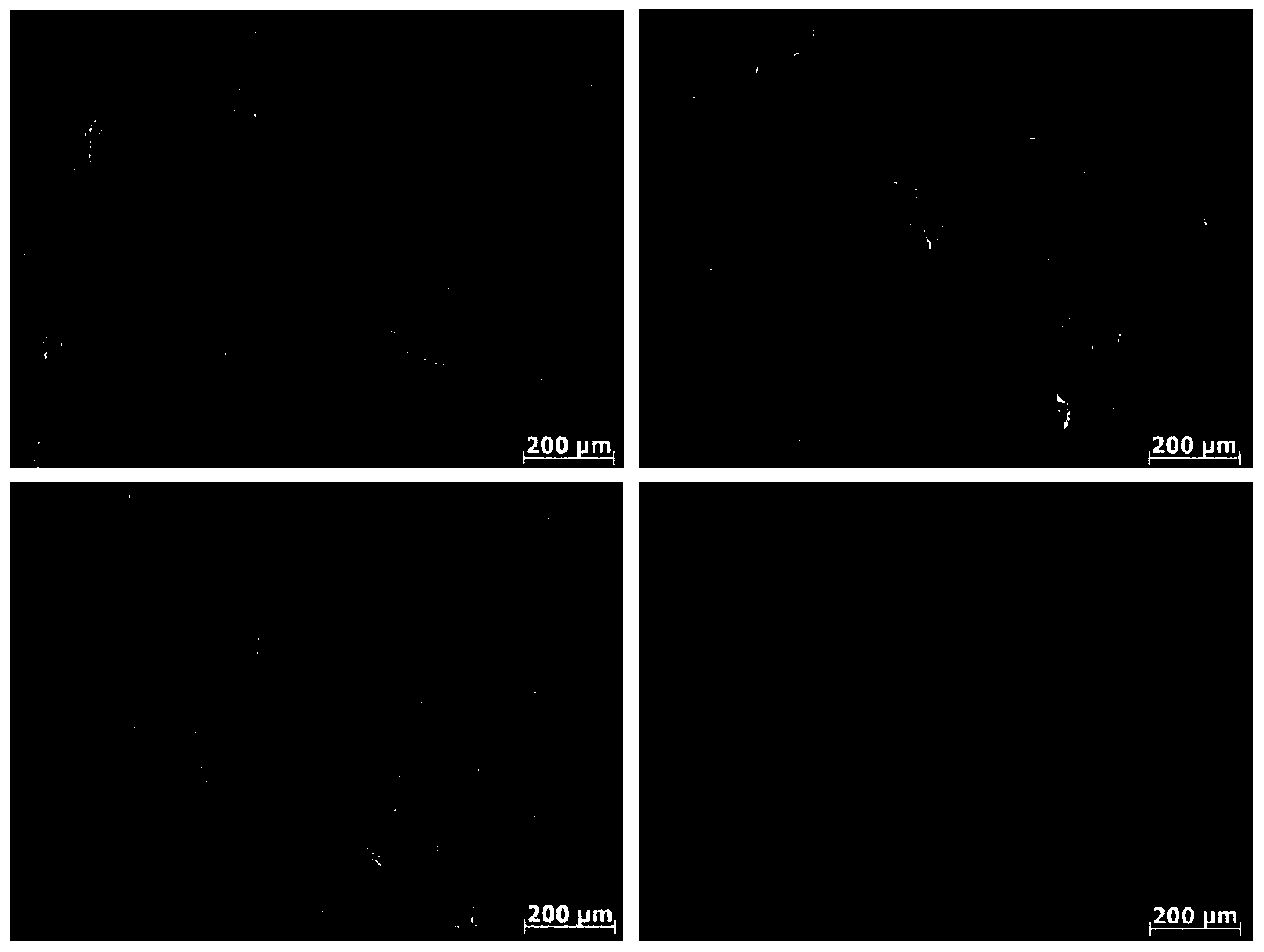 Preparation method for gamma-TiAl alloy small fully-lamellar tissue