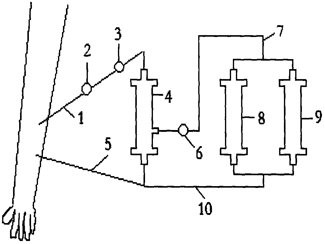 A maternal and fetal blood group incompatibility immunosorbent therapeutic apparatus