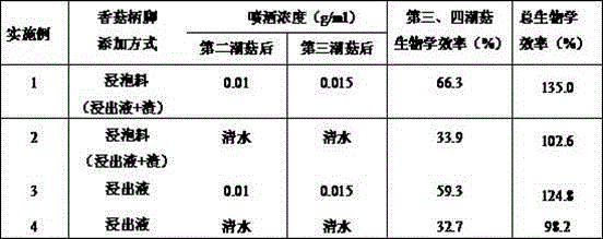 Hericium erinaceus cultivation method