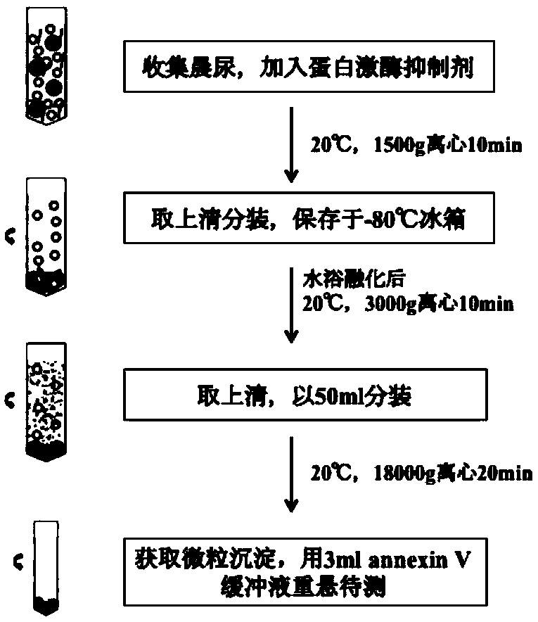 Chronic glomerular disease glomerulosclerosis marker and detection kit thereof