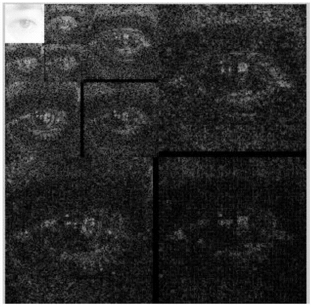 Iris image quality classification method based on BP (back propagation) network and wavelet transformation