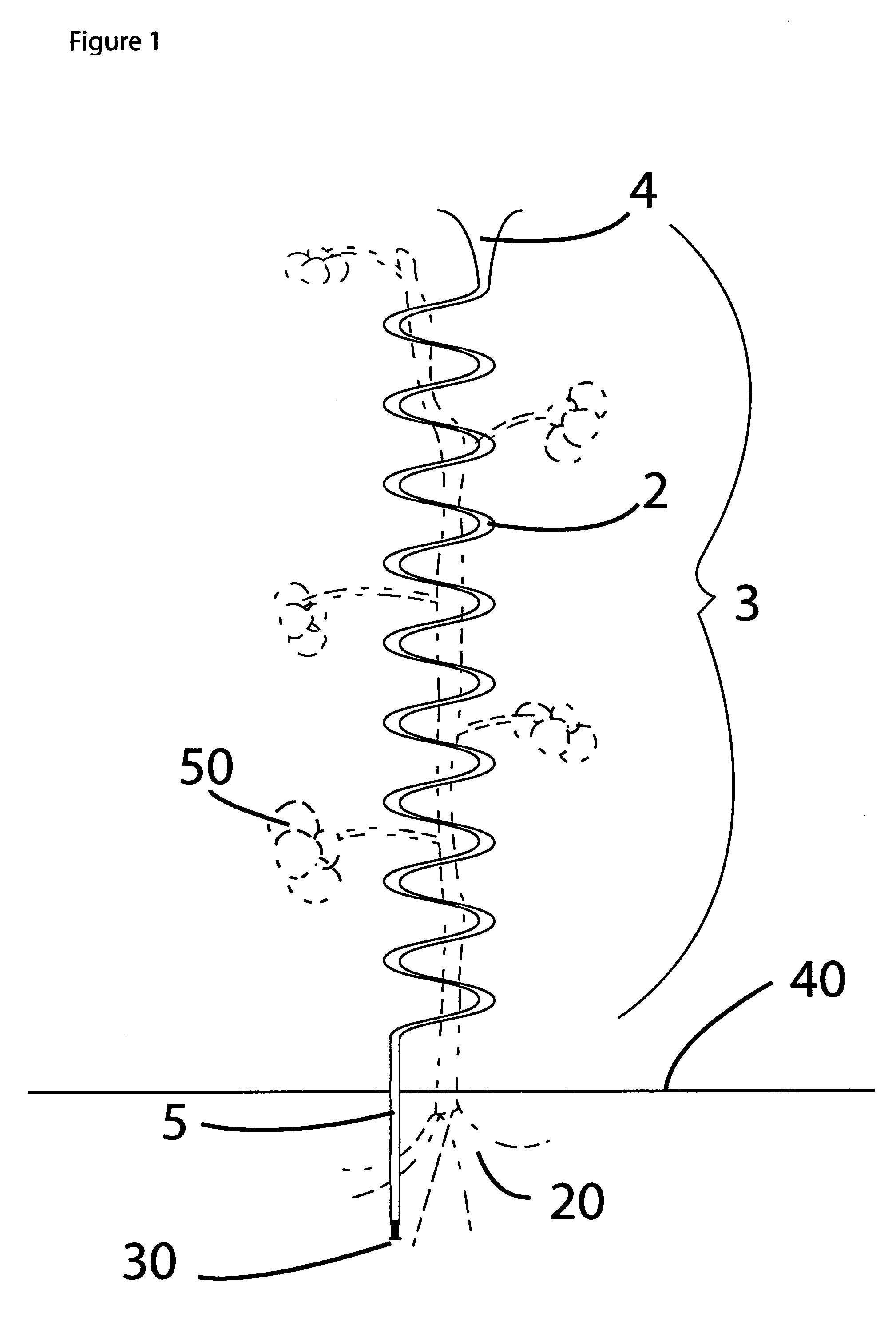 Plant support and water displacement apparatus