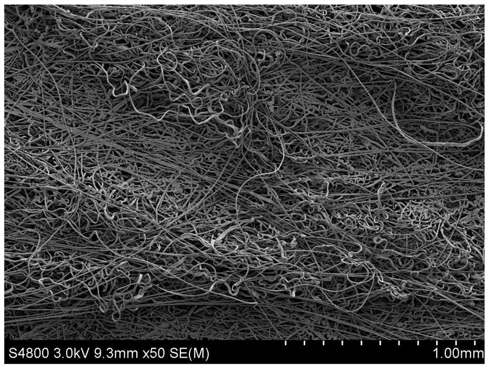 ECTFE melt-blown film and preparation method thereof