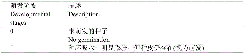 Strain for promoting germination and seedling formation of Dendrobium devonianum seed and application thereof