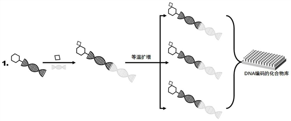 DNA coding compound library drug molecule fishing method