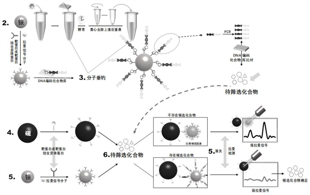 DNA coding compound library drug molecule fishing method