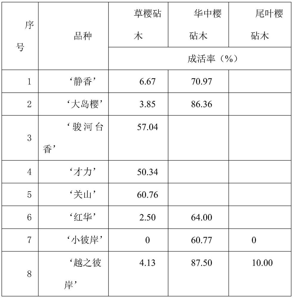 Rootstock selecting method for domestic mainly-planted varieties of cerasus