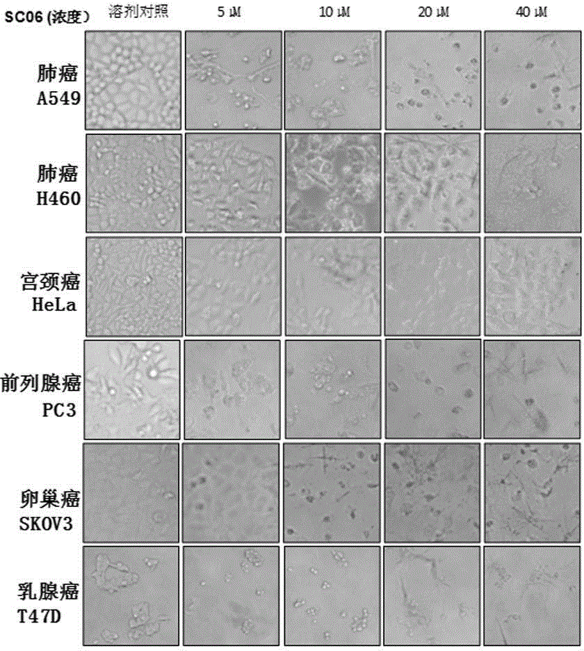 Application of compound to preparation of mTOR inhibitor