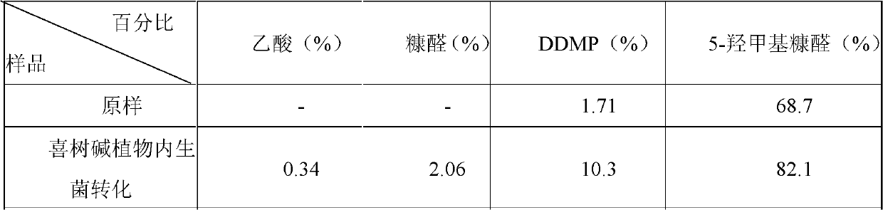 Endophyte bio-transformed raisin extract and preparation and application in flavoring thereof