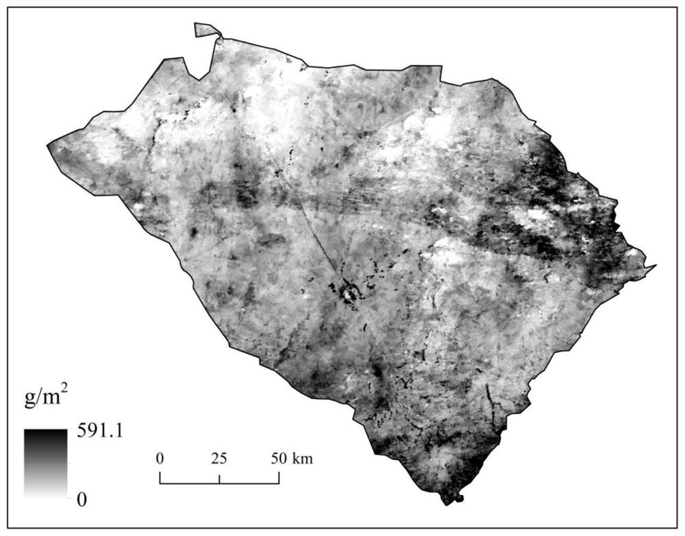 Conversion method of vegetation ecological parameter remote sensing estimation model