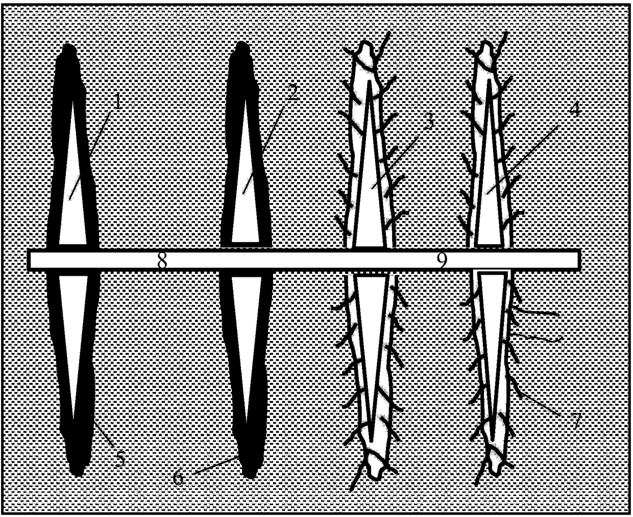 High-temperature heat shock method for promoting creation of microfracture on hydraulic fracture surface of tight gas well