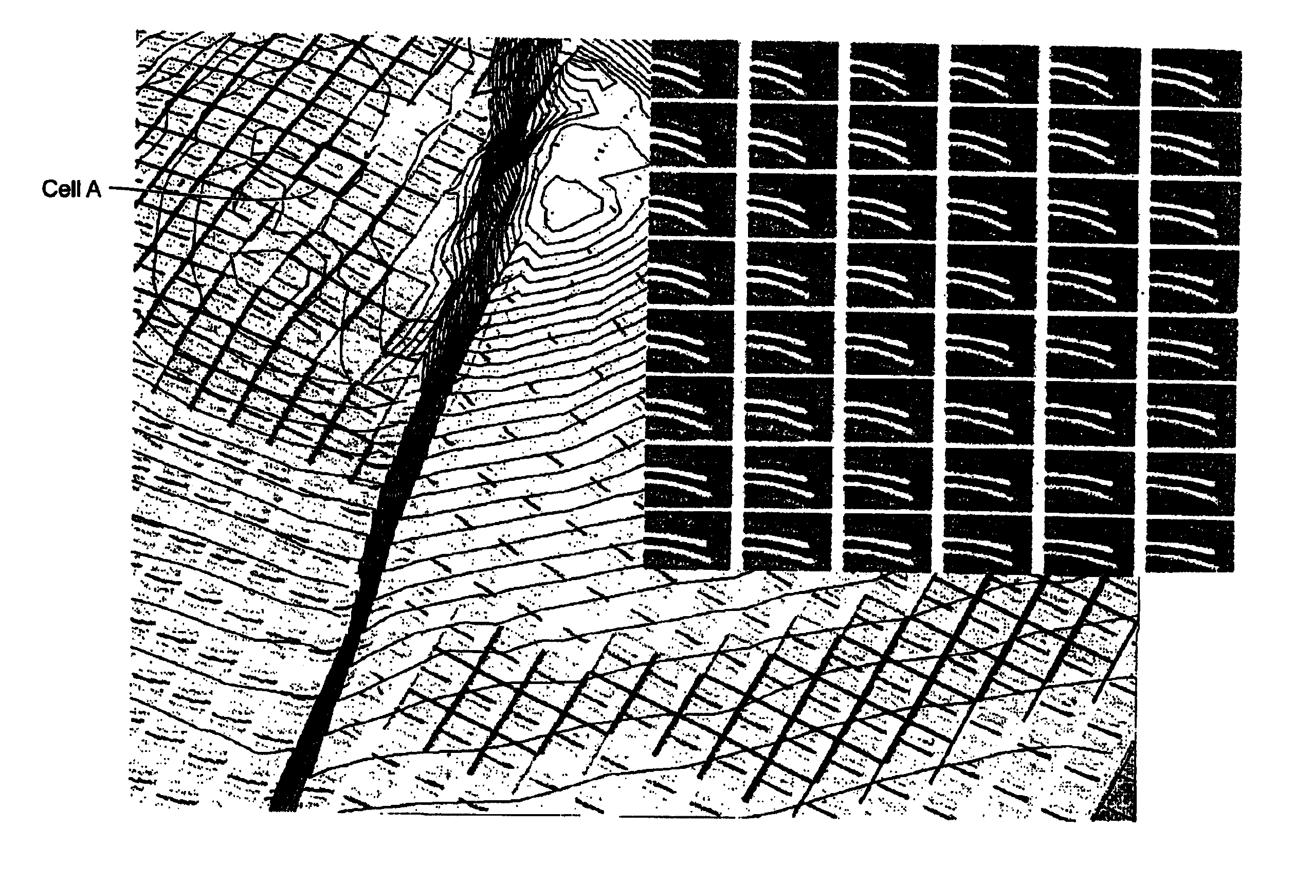 Visualization method for the analysis of prestack and poststack seismic data