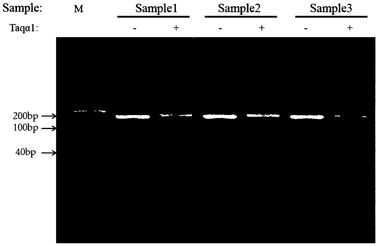 Whole-genome methylation non-bisulfite sequencing library, construction and applications thereof