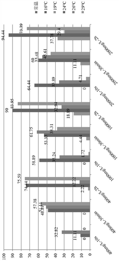 Winter electric heating hotbed cutting propagation method for platycladus orientalis