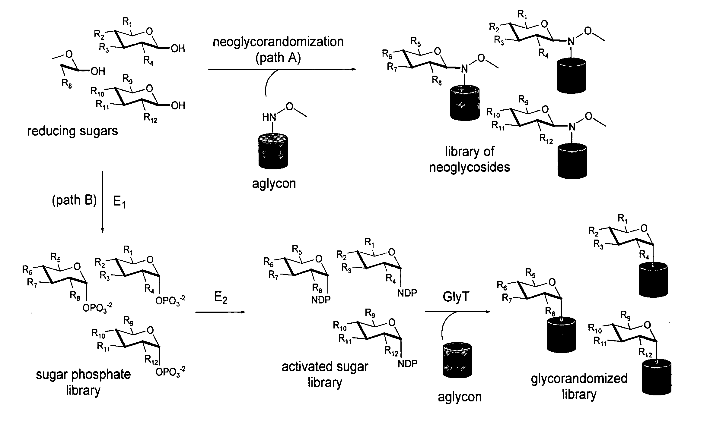 Neoglycorandomization and digitoxin analogs