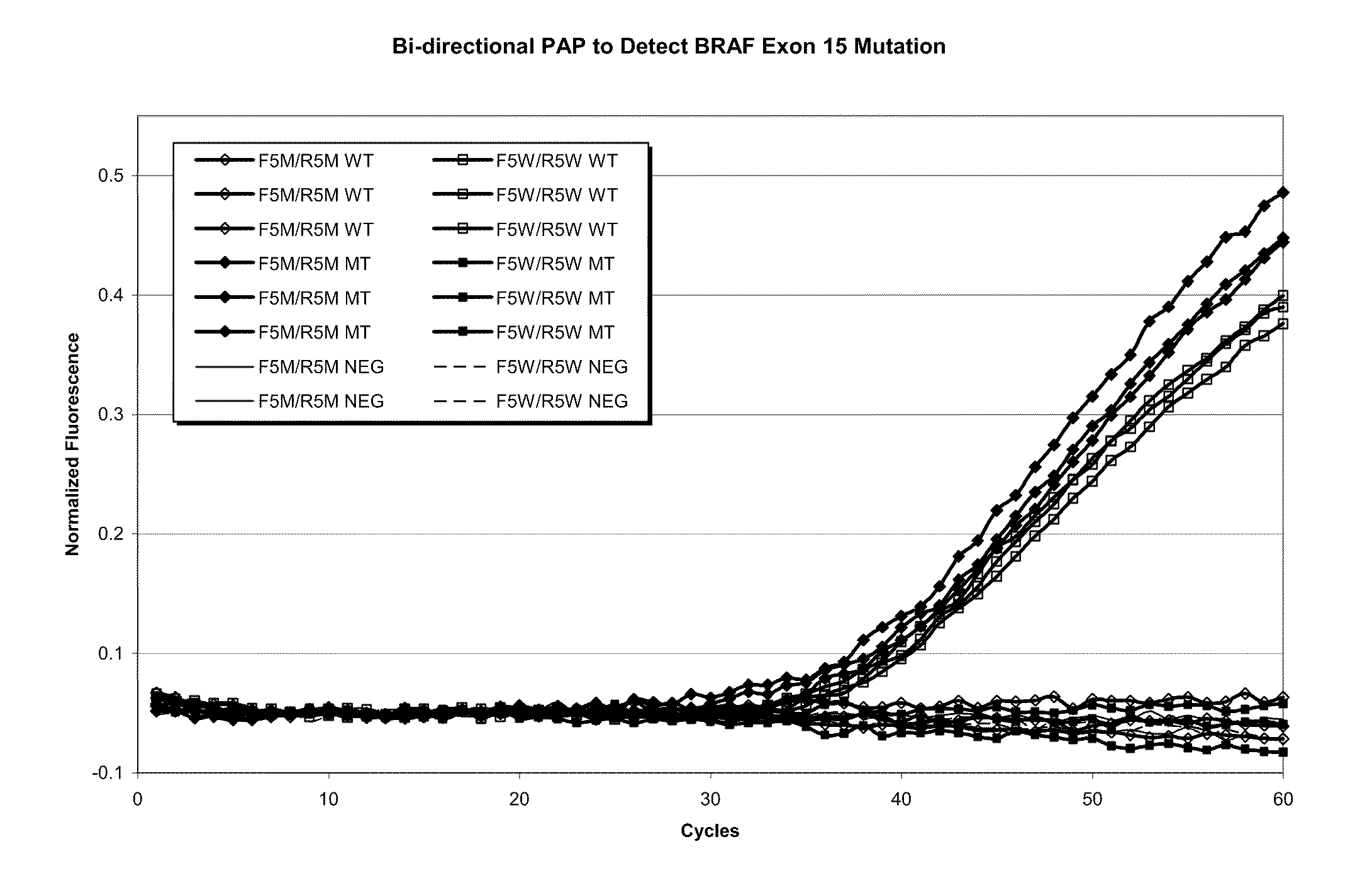 DNA polymerases and related methods