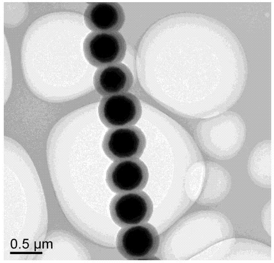 Method for preparing one-dimensional magnetic fluorescent nanochain