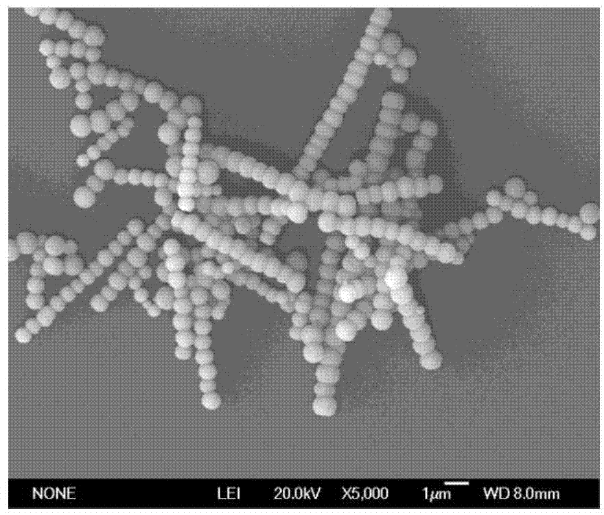 Method for preparing one-dimensional magnetic fluorescent nanochain