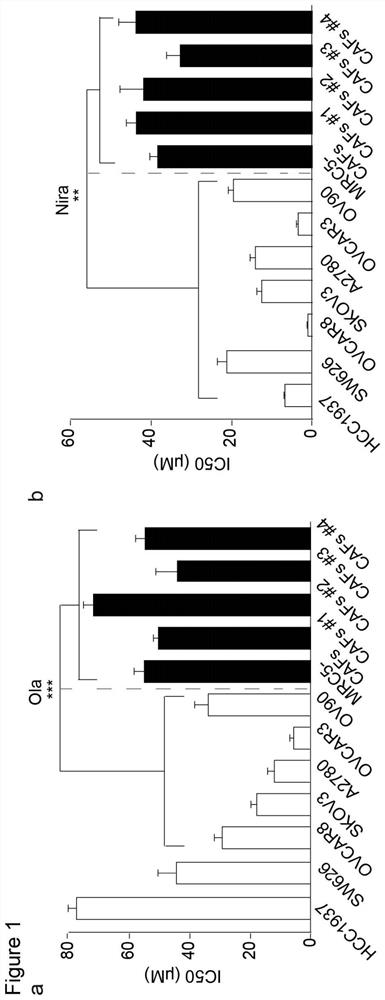 Markers of drug resistance of cancer cells, combination of preparations for reversing drug resistance of cancer cells and their applications