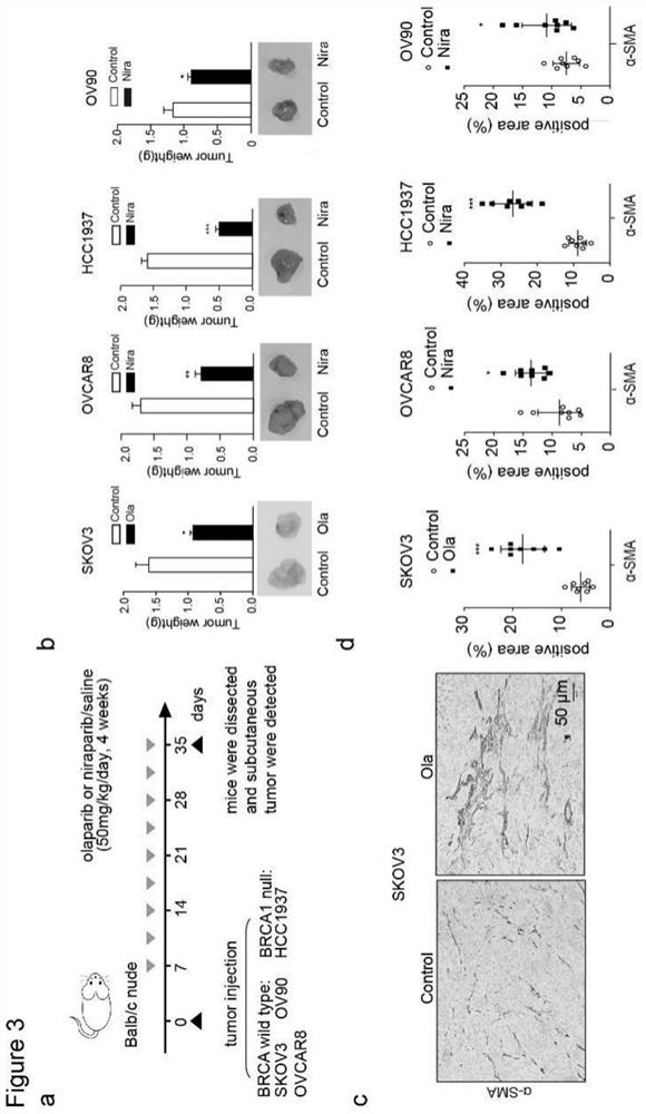 Markers of drug resistance of cancer cells, combination of preparations for reversing drug resistance of cancer cells and their applications