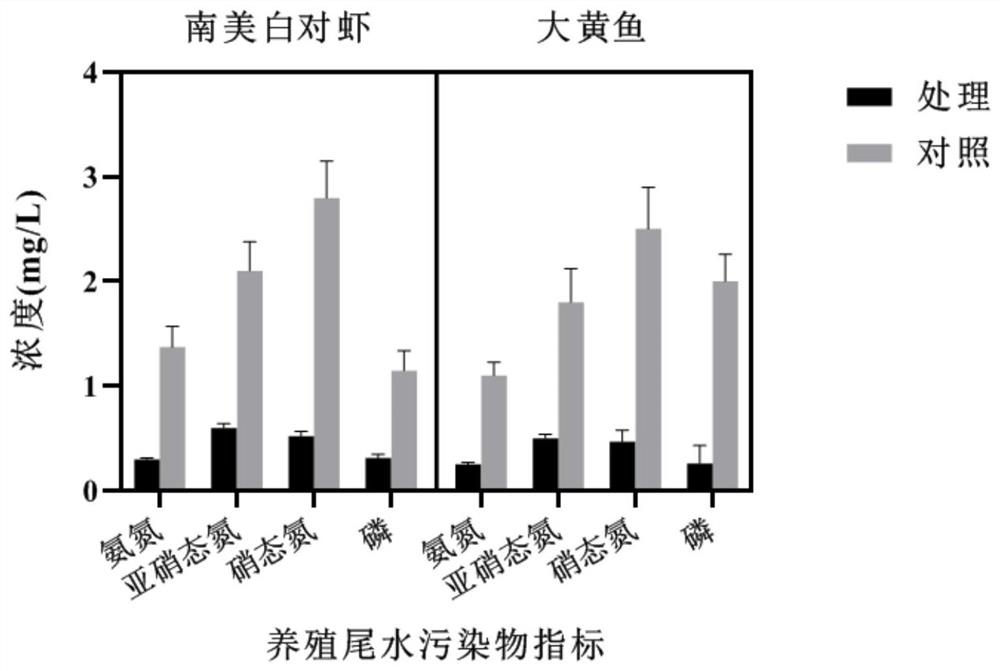 Mariculture tail water microbial purification preparation as well as preparation method and application thereof