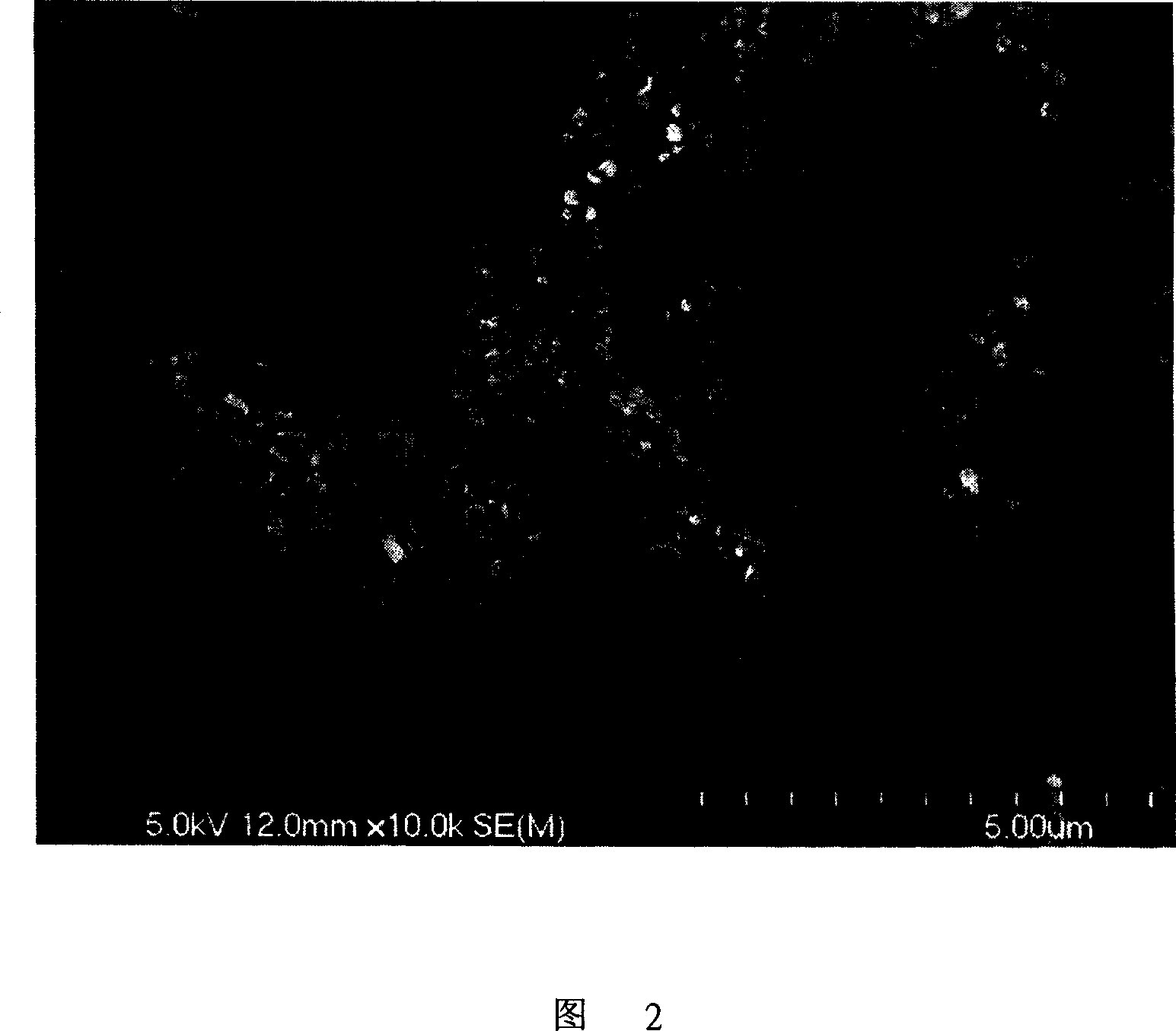 Method for preparing medicine carryed nanometer particle of polycyanoacrylate