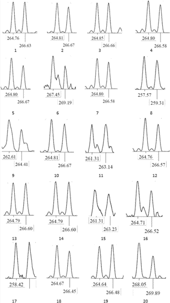 Tortoise microsatellite DNA marker based on high-throughput sequencing screening